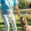 Non Toxic Dog Toy - ECO-FETCHIN' STICK - Eco Friendly