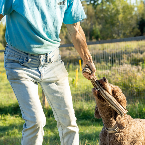 Non Toxic Dog Toy - ECO-FETCHIN' STICK - Eco Friendly