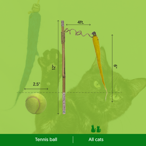 Natural Teaser Cat Toy - Eco-Kitty Catcher Wand