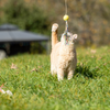 Eco-Kitty Comet: Eco-Friendly Cat Toys for Interactive Fun
