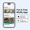 Birdfy Feeder 2 Duo - Triple-Lens Smart Bird Feeder with Cameras