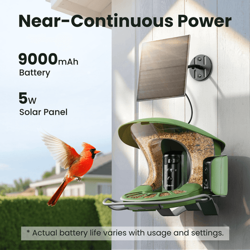 Birdfy Feeder 2 Duo - Triple-Lens Smart Bird Feeder with Cameras