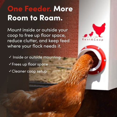 RentACoop 10lb High Rise BPA-Free Single-Port Chicken Feeder