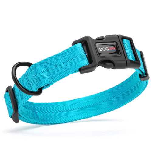 Nylon Flat Dog Collar