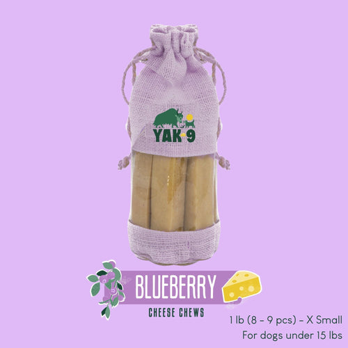 Blueberry Cheese Chews for Dogs
