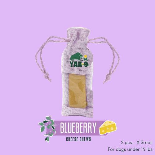 Blueberry Cheese Chews for Dogs