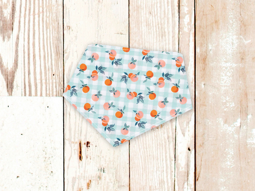 Gingham Peaches Dog Bandana