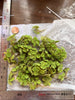 Water Spangles/Salvinia Minima