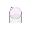 Modern Creative Stained Glass Small Hydroponic Flower Plant