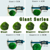 5cm-6cm-7cm Large Moss Balls Huge Giant Series: Kokedama Large Moss Ball for Betta Fish Aquarium Plants Marimo Petco