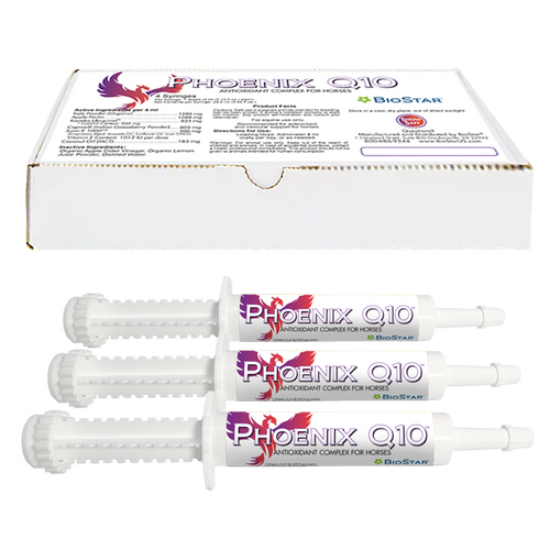 Phoenix Q10