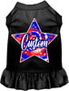 Custom Patriotic Tie Dye Pet Dress