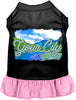 Custom Summer Pet Dress
