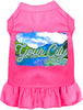 Custom Summer Pet Dress