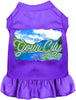 Custom Summer Pet Dress