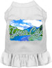 Custom Summer Pet Dress