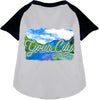Custom Summer Pet Raglan Shirts