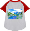 Custom Summer Pet Raglan Shirts
