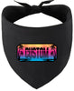 Custom Beach Shades Pet Bandana