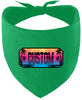 Custom Beach Shades Pet Bandana