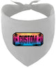 Custom Beach Shades Pet Bandana