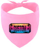 Custom Beach Shades Pet Bandana
