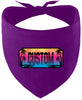 Custom Beach Shades Pet Bandana