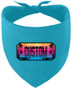 Custom Beach Shades Pet Bandana