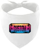 Custom Beach Shades Pet Bandana