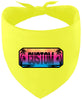 Custom Beach Shades Pet Bandana