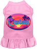 Custom Classic Beach Pet Dress