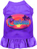Custom Classic Beach Pet Dress