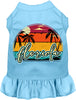 Custom Retro Beach Sunset Pet Dress