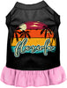 Custom Retro Beach Sunset Pet Dress