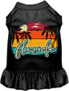 Custom Retro Beach Sunset Pet Dress