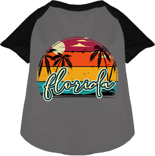 Custom Retro Beach Sunset Pet Raglan Shirts