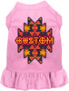 Custom Navajo Tribal Pet Dress