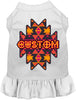 Custom Navajo Tribal Pet Dress
