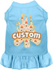 Custom Around the Campfire Pet Dress