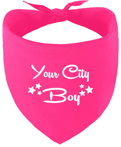 Custom Boy Pet Bandana