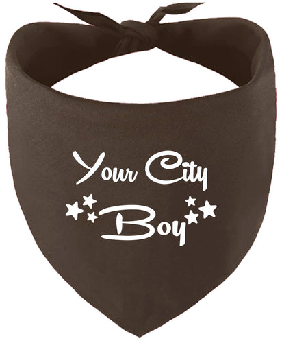 Custom Boy Pet Bandana