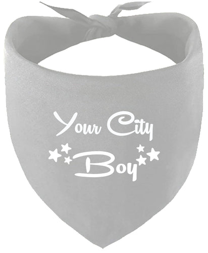 Custom Boy Pet Bandana