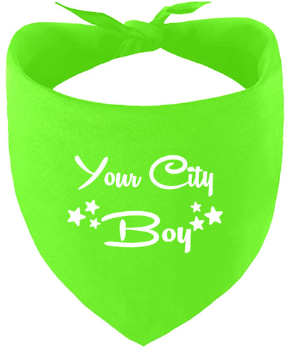 Custom Boy Pet Bandana