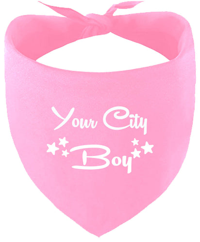 Custom Boy Pet Bandana