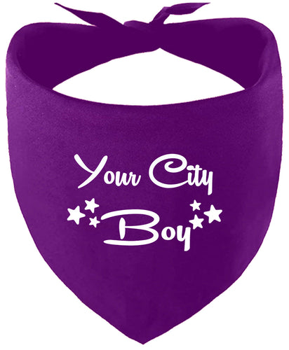 Custom Boy Pet Bandana
