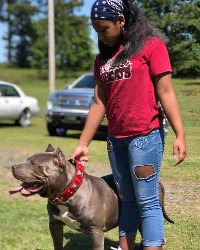 The Eros collar 2.5 inch wide RED
