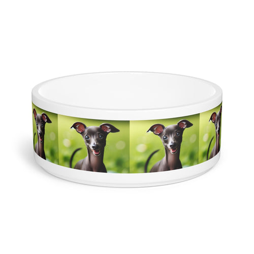 Ceramic Pet Bowl – 16 oz Dog Feeding Bowl