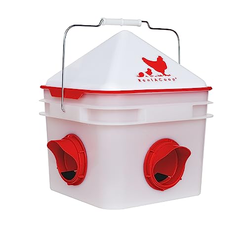10lb Chick2Chicken BPA-Free 4-Port Chicken Feeder - 2025 Version