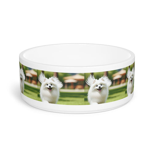 Ceramic Pet Bowl – 16 oz Dog Feeding Bowl