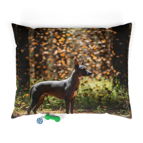 Xoloitzcuintli Pet Bed